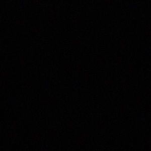 Meet your Posher, Camryn